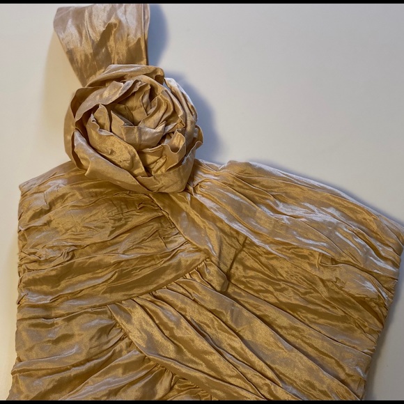 BNWT BCBGMAXAZRIA Dress - Picture 4 of 9